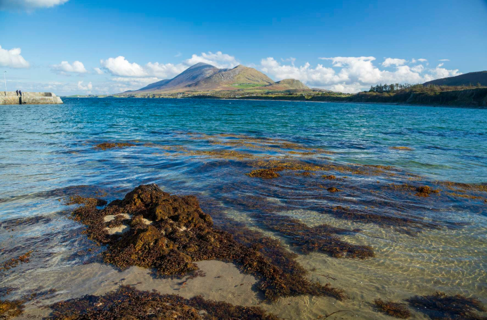 Old Head Beach, , Ireland